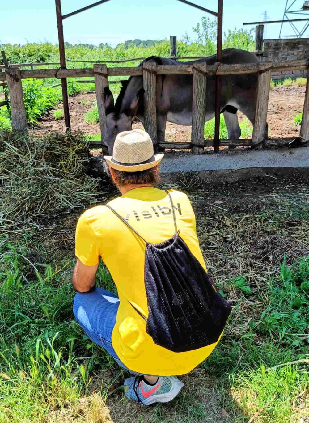 Visiby Studio Marketing humano etico Biobagnolese creazione di contenuti social sessione fotografica asino 2