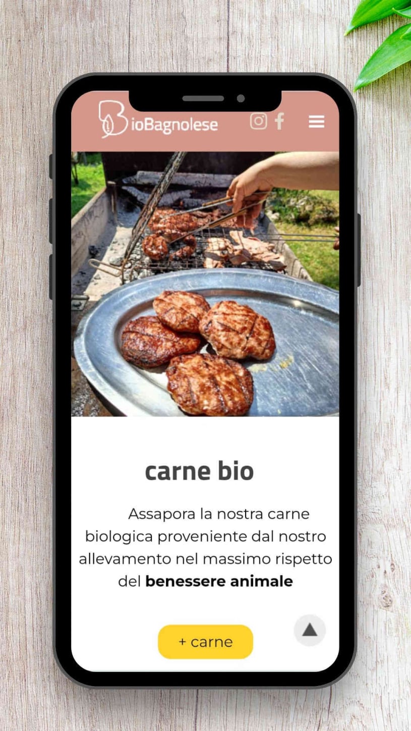 Visiby Studio Marketing humano etico Biobagnolese web responsive design phone mockup